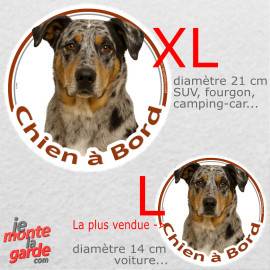 Beauceron Arlequin, sticker voiture rond photo "Chien à Bord" résiste pluie soleil gel, idée cadeau, 2 tailles D