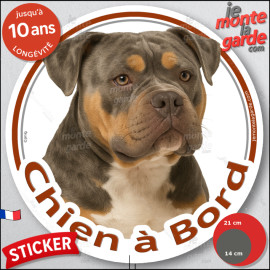 American Bully lilac American lilac tricolore, chocolat marron et tan, sticker autocollant voiture rond "Chien à Bord" Disque ad