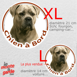 Cane Corso gris froment, sticker rond voiture photo "Chien à Bord" résiste pluie soleil gel, idée cadeau, 2 tailles D