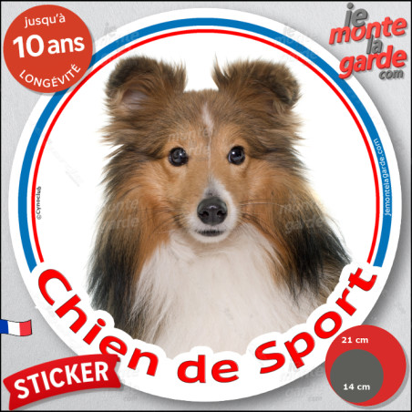 Berger des Shetland fauve, sticker rond photo "Chien de Sport" résiste pluie soleil gel, idée cadeau, 2 tailles D Berger des Shetland fauve, sticker rond photo "Chien de Sport" résiste pluie soleil gel, idée cadeau, 2 tailles D