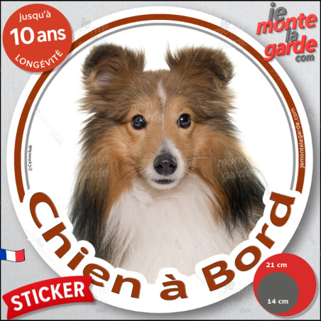Berger des Shetlands fauve, sticker autocollant rond photo "Chien à Bord" disque adhésif vitre voiture Sheltie marron, résiste l