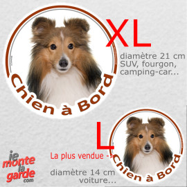 Berger des Shetland fauve, sticker voiture rond photo "Chien à Bord" résiste pluie soleil gel, idée cadeau, 2 tailles D
