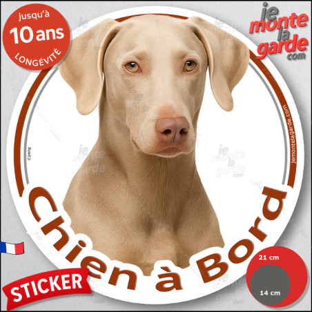 Dobermann isabelle, sticker autocollant rond "Chien à Bord" disque adhésif vitre voiture chien photo Doberman fauve dilué, red n