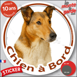Colley zibeline fauve à poils courts, sticker autocollant voiture rond "Chien à Bord"  Disque adhésif vitre photo, résiste pluie