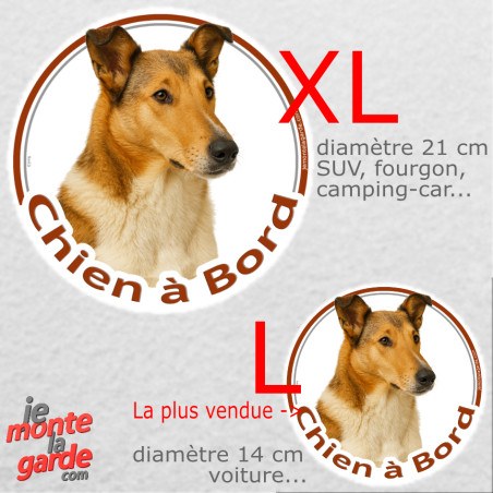 Colley zibeline fauve poils courts, sticker voiture rond photo "Chien à Bord" résiste pluie soleil gel, idée cadeau, 2 tailles D
