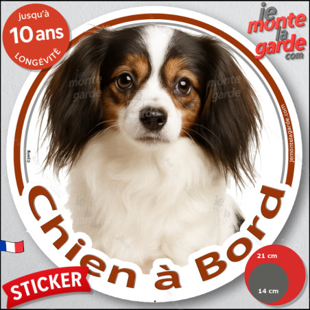 Epagneul Nain Continental Phalène, sticker autocollant rond photo "Chien à Bord" Disque adhésif voiture, résiste pluie soleil ge