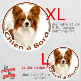 Epagneul Nain Continental Papillon, sticker voiture rond photo "Chien à Bord" résiste pluie soleil gel, idée cadeau, 2 tailles D