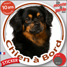 Epagneul Tibétain noir et feu, disque photo autocollant photo "Chien à Bord" Sticker adhésif rond vitre voiture résiste pluie so