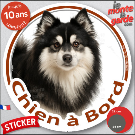Pomsky noir et blanc, disque photo autocollant "Chien à Bord" Sticker adhésif rond vitre voiture résiste pluie soleil gel, idée 