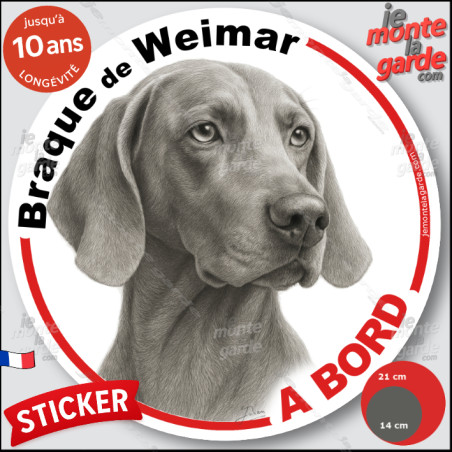 Braque de Weimar, sticker autocollant rond "Chien à Bord" disque adhésif vitre voiture résiste pluie soleil gel, idée cadeau
