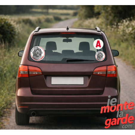 Terre Neuve, sticker autocollant rond "Chien à Bord" Photo de l'installation du disque adhésif sur la vitre arrière d'une voitur