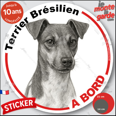 Terrier Brésilien, sticker autocollant rond "Chien à Bord" disque adhésif vitre voiture photo, résiste pluie soleil gel, idée ca