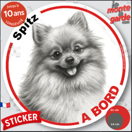 Spitz, sticker autocollant rond "Chien à Bord" disque adhésif vitre voiture photo, résiste pluie soleil gel, idée cadeau