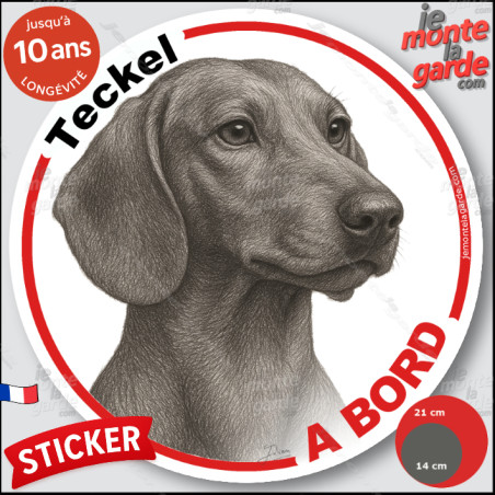 Teckel à poils ras, sticker autocollant rond "Chien à Bord" disque adhésif vitre voiture photo, résiste pluie soleil gel, idée c