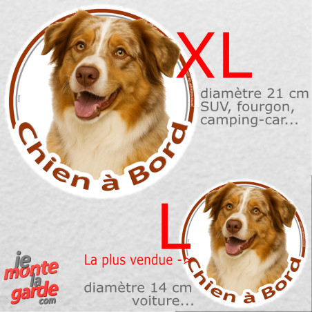 Berger Australien rouge merle, sticker voiture rond photo"Chien à Bord" résiste pluie soleil gel, idée cadeau, 2 tailles D