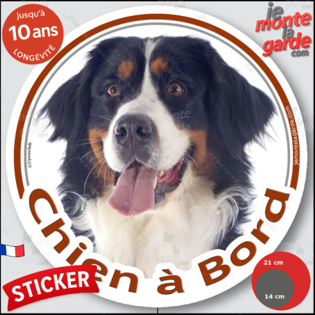 Bouvier Bernois, sticker autocollant rond voiture "Chien à Bord" Disque adhésif photo race, résiste pluie soleil gel, idée cadea