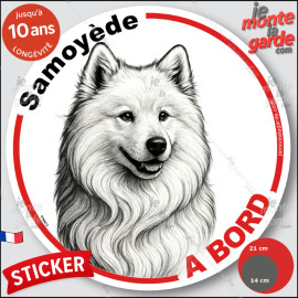 Samoyède, sticker autocollant rond "Chien à Bord" disque adhésif vitre voiture photo, résiste pluie soleil gel, idée cadeau