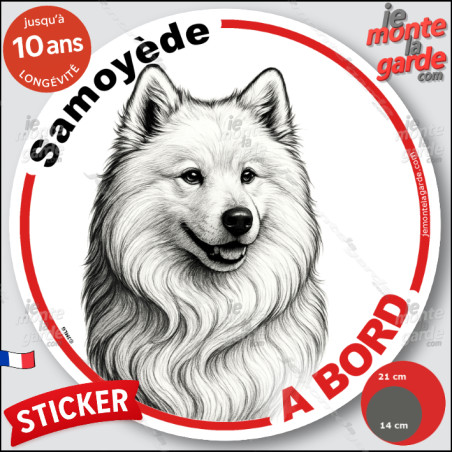 Samoyède, sticker autocollant rond "Chien à Bord" disque adhésif vitre voiture photo, résiste pluie soleil gel, idée cadeau