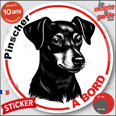 Pinscher, sticker autocollant rond "Chien à Bord" disque adhésif vitre voiture photo, résiste pluie soleil gel, idée cadeau