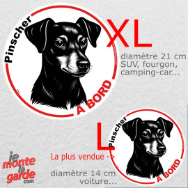 Disque autocollant voiture "Pinscher à Bord" noir et blanc 2 tailles D