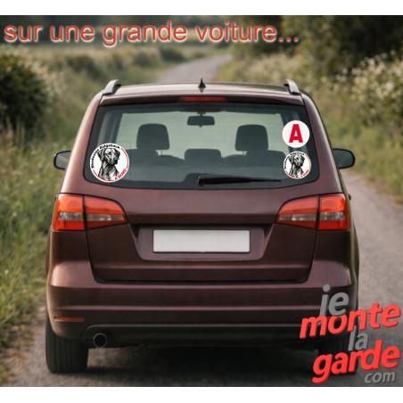 Disque autocollant voiture "Rhodesian Ridgeback à Bord" dessin en noir et blanc, résiste dehors, 2 Tailles D