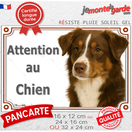 Berger Australien tricolore marron chocolat, plaque portail "Attention au Chien" photo aussie, résiste pluie soleil gel, idée ca