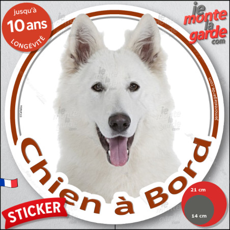 Berger Blanc Suisse, sticker autocollant rond "Chien à Bord" Disque adhésif vitre voiture photo, résiste pluie soleil gel, idée 