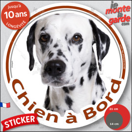 Dalmatien blanc avec taches noires, sticker autocollant rond "Chien à Bord" Disque vitre voiture chien photo, résiste dehors