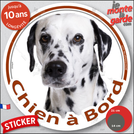 Dalmatien blanc avec taches noires, sticker autocollant rond "Chien à Bord" Disque vitre voiture chien photo, résiste dehors