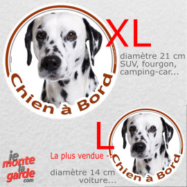 Dalmatien, sticker voiture rond "Chien à Bord" résiste dehors, 2 Tailles