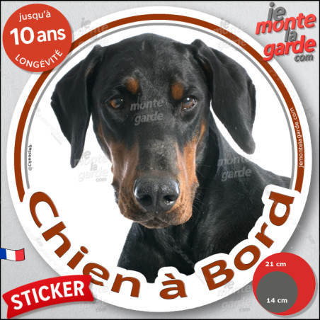 Dobermann noir et feu, sticker autocollant rond "Chien à Bord" Disque adhésif vitre voiture photo race chien, résiste pluie sole