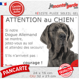 Dogue Allemand gris bleu, plaque portail humour "Attention au Chien, Jetez Vous au Sol, attendez secours, courage" photo Danois,