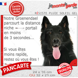 Berger Belge Groenendael noir, Plaque Portail humoristique "parcourt distance niche-portail 3 secondes" photo résiste pluie sole