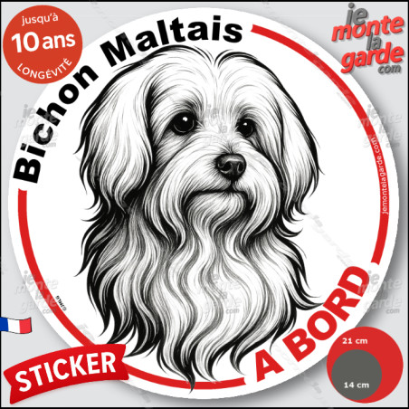 Bichon Maltais, sticker autocollant rond "Chien à Bord" disque adhésif vitre voiture photo, résiste pluie soleil gel, idée cadea