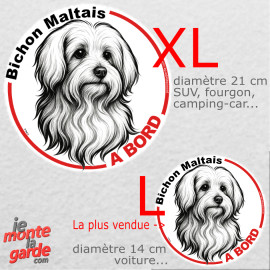 Disque autocollant voiture "Bichon Maltais à Bord" dessin en noir et blanc, résiste pluie soleil gel, idée cadeau, 2 tailles D