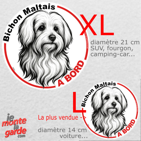 Disque autocollant voiture "Bichon Maltais à Bord" dessin en noir et blanc, résiste pluie soleil gel, idée cadeau, 2 tailles D