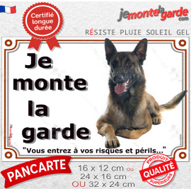 Berger Belge Malinois couché, plaque portail "Je Monte la Garde, vous entrez à vos risques et périls" résiste pluie Soleil gel,