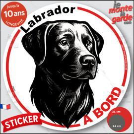 Labrador, sticker autocollant rond "Chien à Bord" disque adhésif vitre voiture photo, résiste pluie soleil gel, idée cadeau