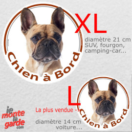 Bouledogue Français fauve, sticker voiture rond photo "Chien à Bord" pluie soleil gel, idée cadeau, 2 tailles D