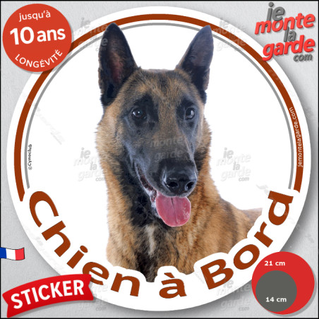 Berger Belge Malinois, sticker autocollant rond "Chien à Bord" Disque photo adhésif vitre voiture, résiste pluie soleil gel, idé