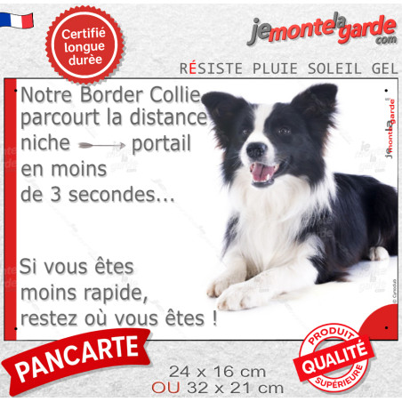 Border Collie noir et blanc poil long, plaque humour "parcourt la distance Niche-Portail en moins de 3 secondes" 3 Tailles D Border Collie noir et blanc poil long, plaque humour "parcourt la distance Niche-Portail en moins de 3 secondes" 3 Tailles D