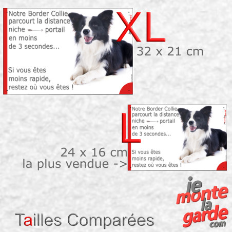 Border Collie noir et blanc poil long, plaque humour "parcourt la distance Niche-Portail en moins de 3 secondes" 3 Tailles D