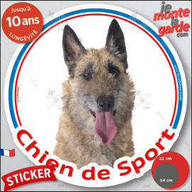 Sticker rond "Chien de Sport" Berger Belge Laekenois Tête, intérieur ou Extérieur, autocollant agility lakenois photo résiste pl