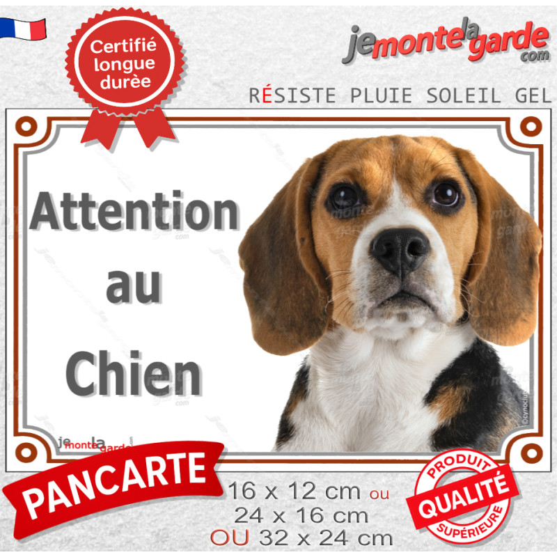 Beagle tricolore, plaque portail "Attention au Chien" photo, résiste pluie soleil gel, idée cadeau