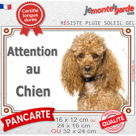 Caniche abricot, plaque portail "Attention au Chien" photo, résiste pluie soleil gel, idée cadeau