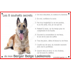 Berger Belge Laekenois, panneau photo "Les 8 souhaits secrets" commandement éducation pancarte plaque règlement