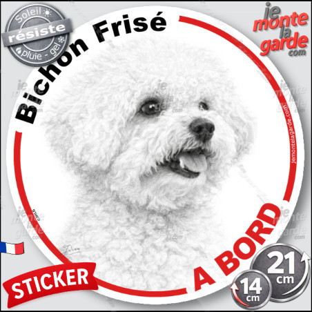 Bichon Frisé, sticker autocollant rond "Chien à Bord" disque adhésif vitre voiture photo, résiste pluie soleil gel, idée cadeau