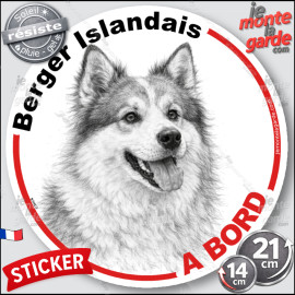 Berger Islandais, sticker autocollant rond "Chien à Bord" disque adhésif vitre voiture photo, résiste pluie soleil gel, idée cad
