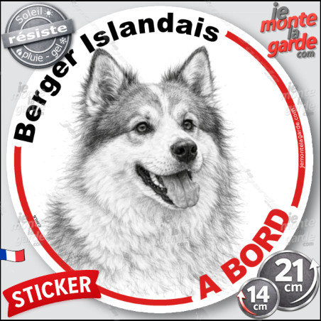 Berger Islandais, sticker autocollant rond "Chien à Bord" disque adhésif vitre voiture photo, résiste pluie soleil gel, idée cad