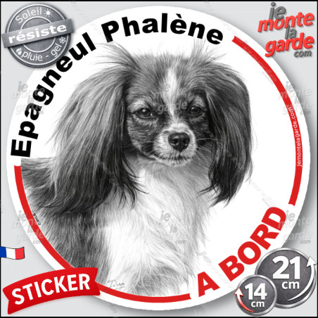 Epagneul Nain Continental Phalène, sticker autocollant rond "Chien à Bord" disque adhésif vitre voiture photo, résiste pluie sol